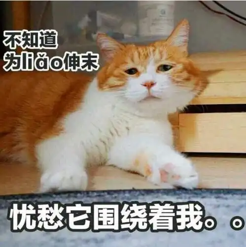 村民竟然在猪肚子里发现了这个宝贝
