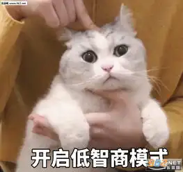 谁还不是个小可怜图片少和我来这套橘猫表情包下载乐游网游戏下载
