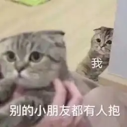 支持nfc小米手环3终于来了高管确认
