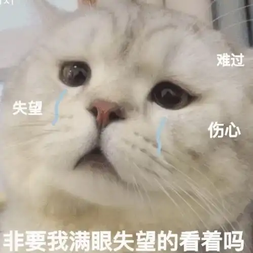 表情包沙雕表情包1500期
