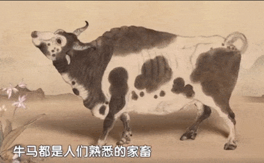 牛气冲天,藏在博物馆里的牛
