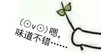对方不想和你说话,并扔了个蓝瘦香菇味的表情包