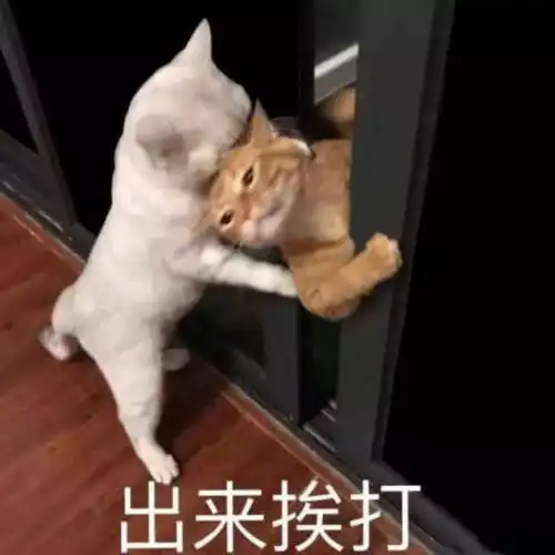 电影云南虫谷究竟有多无聊

