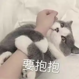 在线收听遇你如星辰荔枝
