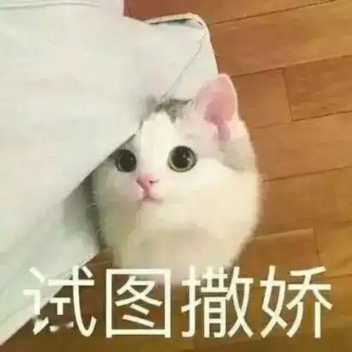 废物家长不定期工作报告
