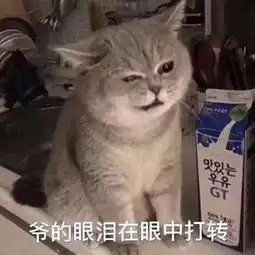 欢笑集锦一哥们单身多年,终于相亲成功
