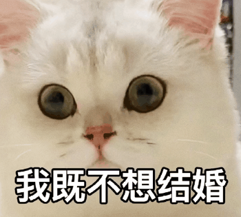 抖音表情包i问问咱妈我能来你家过中秋吗
