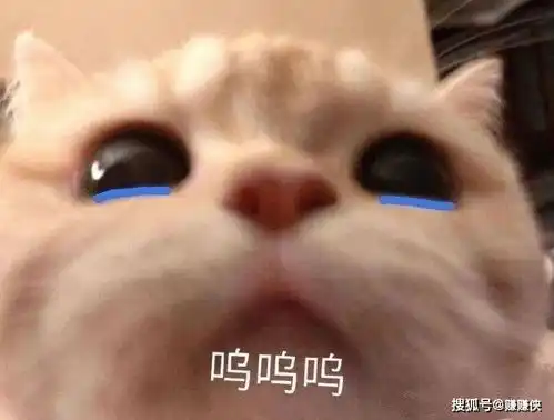 最新表情包我委屈
