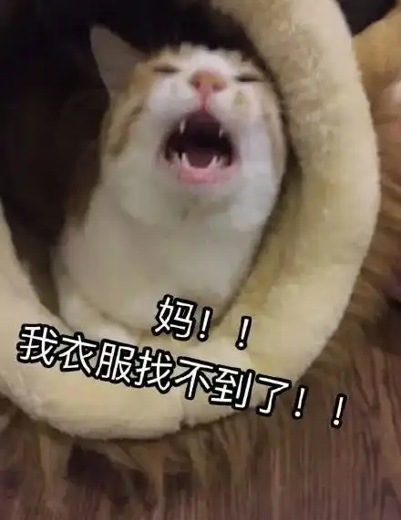 珠海人挺住最难熬的日子来了...
