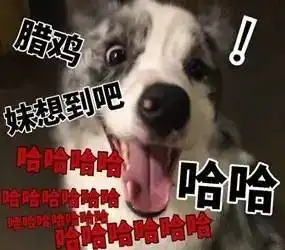 今日神段丨这么假的分手理由,亏你想得出
