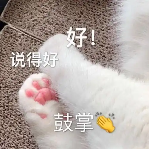 表情包你送我的帽子真好看
