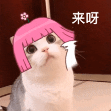 我也不想被钓啊丨第969期喵表情包
