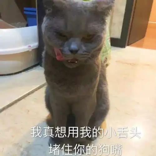 搞笑表情包下一个挨打的就是你
