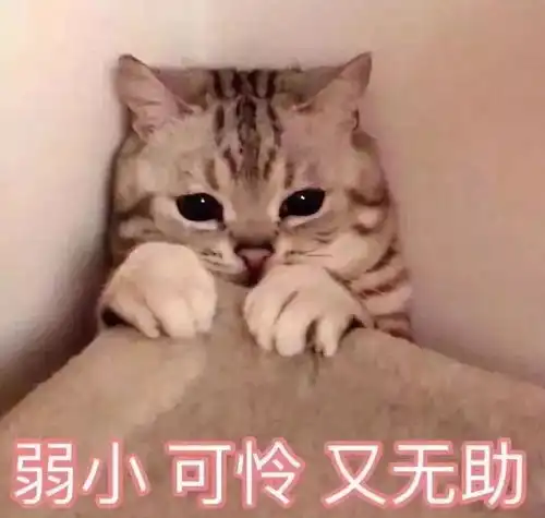 粉丝来信说不要让电器变成凶器
