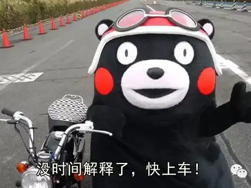 超萌熊本熊表情包,拿去跟爸妈卖萌
