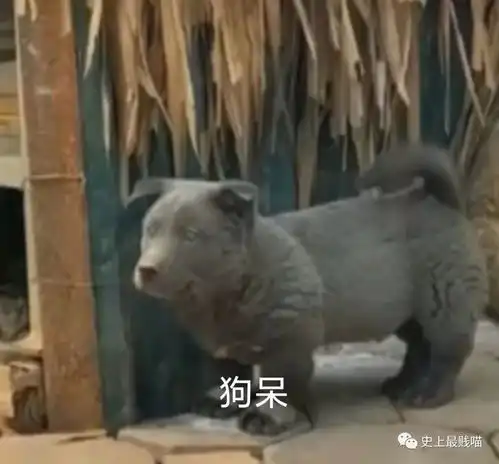 千万不要随便乱起淘宝名字否则...哈哈哈哈哈哈哈哈哈
