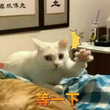童年未解之谜竟然有答案了,有点接受不了
