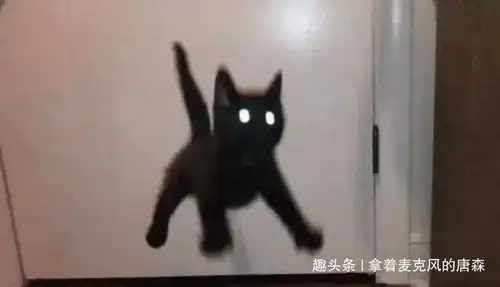 如何回复借钱的人消息,哈哈哈哈哈这一招简直太绝了
