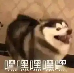 刚刚官宣武大赏樱明起预约武汉还有100万张景点门票免费送
