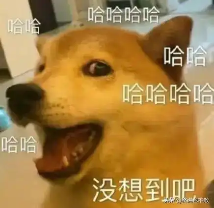 大伯儿子是公务员,我年薪是他10倍大伯论生活质量,他儿子高
