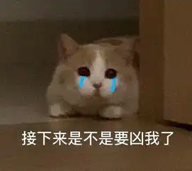 2019年俄罗斯最受欢迎品牌小米跻身top10无华为
