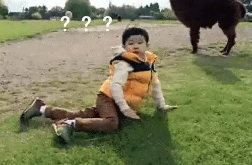 你们都知道lisa是泰国人吗
