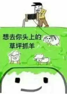 半夜敲孙红雷的门婚内出轨四次给前夫泼脏水,姚晨是第二个董洁
