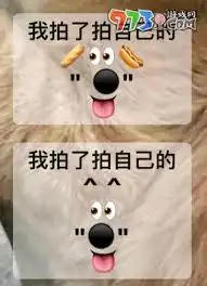 微信拍一拍表情包大全
