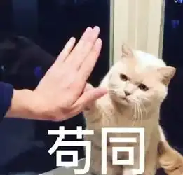 明星流行这种眼装,看完有多少割双眼皮mm后悔
