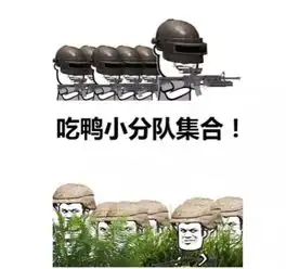 抖音吃鸡小分队集合表情包合集下载高清无水印打包下载

