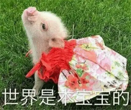 表情包有应必求,心想事成,高siri
