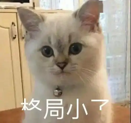 沙雕表情小老弟,格局小了
