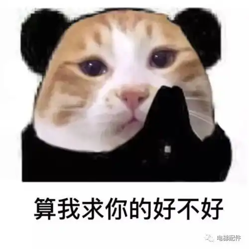 睡衣女深夜乘电梯失联发生了什么最后竟在电梯井被找到
