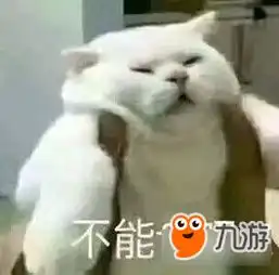 dnf玩家追忆动物套躺着赚钱身家过亿
