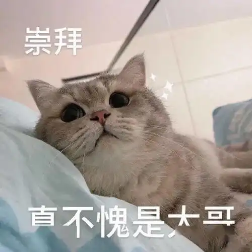 表情包动图我受到了惊吓
