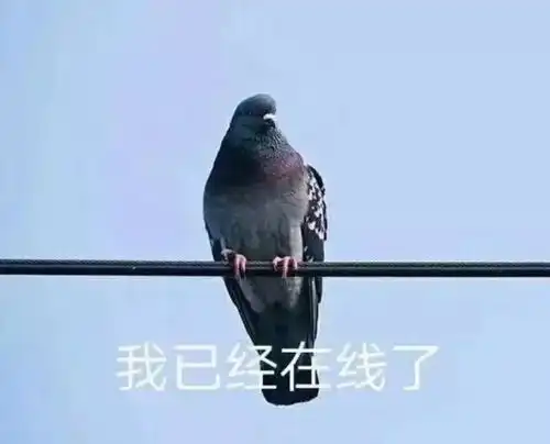 小孩一年级下学期不上了有家,长自己辅导九月份能直接上二年级吗
