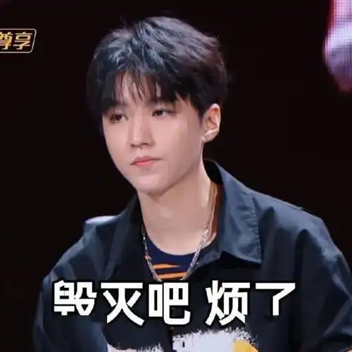 表情包王俊凯份的表情包
