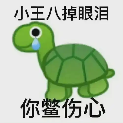比群友xp更怪的,是他们手机里的龟龟表情包
