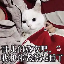 你不哄我是吧不哄我就吃小孩
