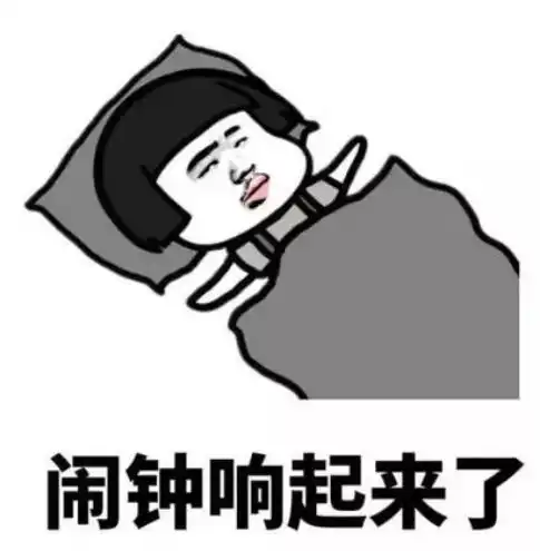 快来get优秀国际人的寒假打开方式
