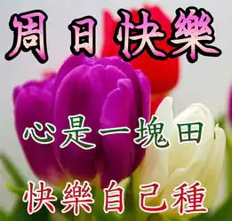 周日早上好问候语图片大全大家早上好的祝福语
