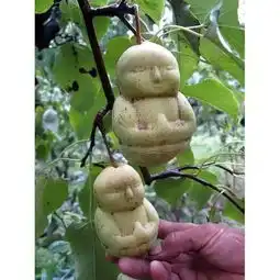 发几张不正经的照片给大家看看,笑尿不负责
