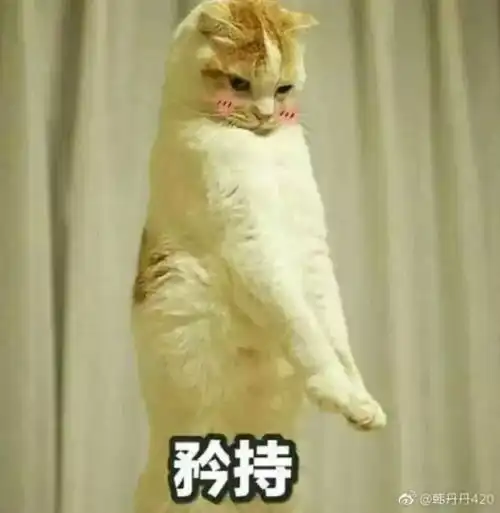 喷了一款大众的香水
