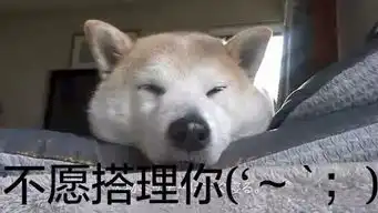 股市每日谈遍地是牛股就是捞不着

