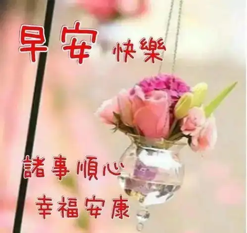 最新版非常漂亮的早上好表情图片温馨早安心语语录
