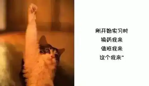 护士心声学医前vs学医后
