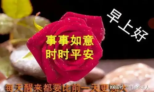 早安问候祝福语图片,让我们用心去关怀,把暖意传递至彼此的心中

