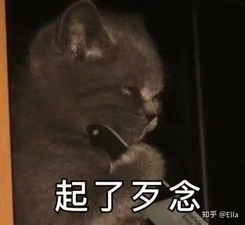 真的会有人如珠如宝的对你,所以一定不要否定自己
