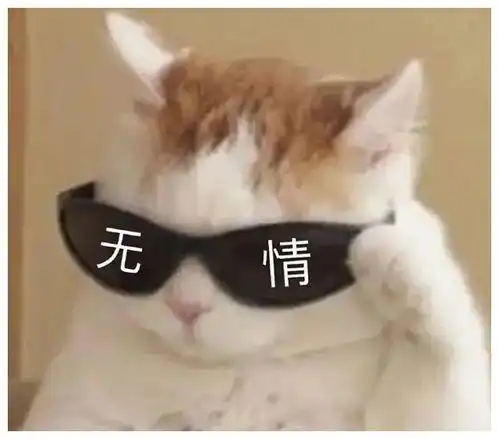 把肉夹馍放进冰箱里
