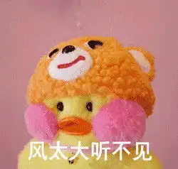 玻尿酸鸭表情包全套无水印电脑客户端版雷达下载
